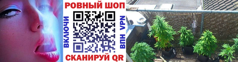 Купить наркотики цена Сальск MDMA  Cocaine  Меф  Марихуана  АМФ 