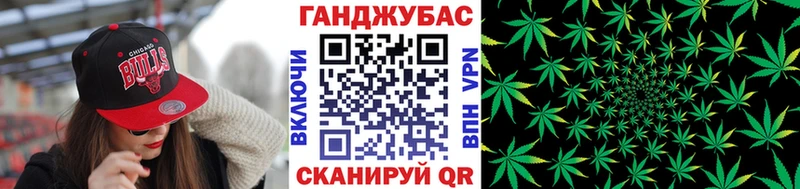 МАРИХУАНА конопля Сальск