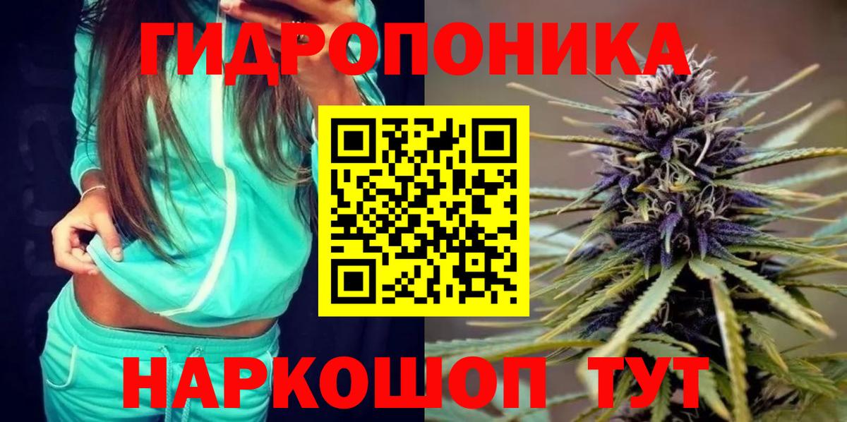 Конопля OG Kush  Вход с VPN  Бошки Шишки ГИДРОПОН  Сальск 